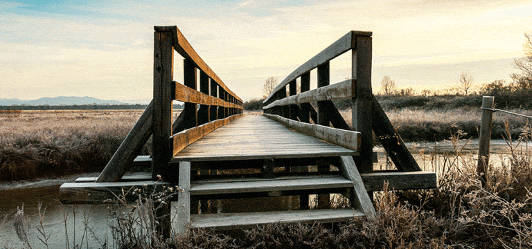 photo of a bridge for ERP implementation article