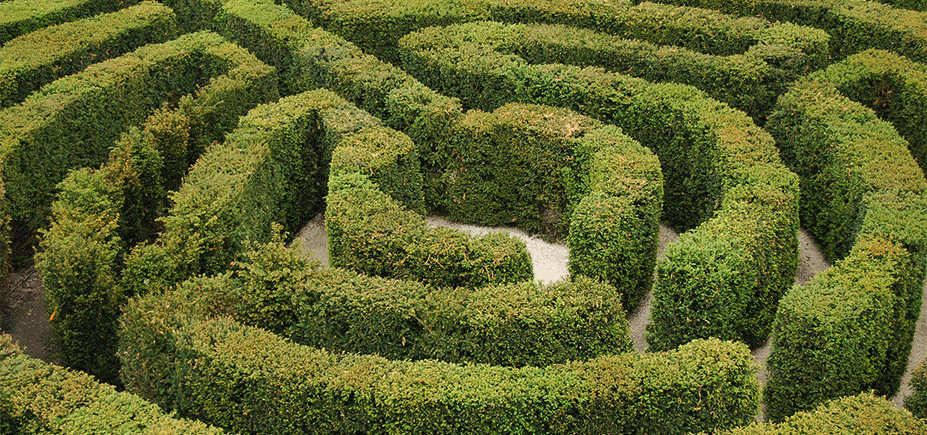 photo of a maze for new product line launch case study