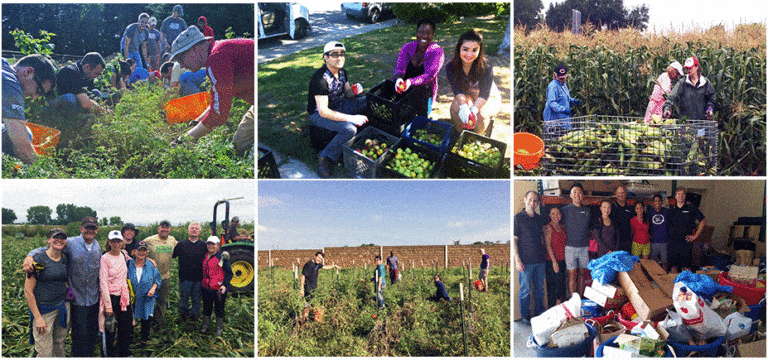 IPMers volunteering for Q3 2016 Project Mercy Outgrowing Hunger