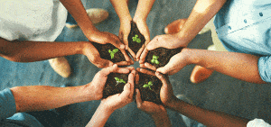 group of people in a circle holding a plant growing out of dirt for ethics compliance case study