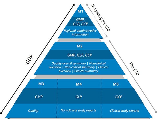 CTD Triangle