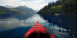 Mergers and Acquisitions Guiding Principles