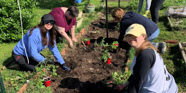 Project Mercy St Louis garden farm